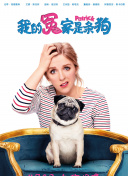 天书奇谈攻略：新手必读的游戏技巧